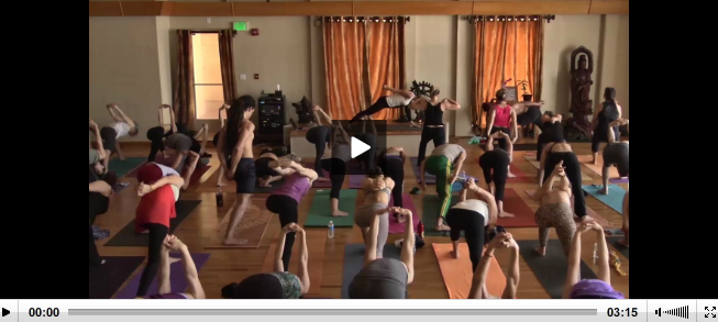 shiva rea online yoga