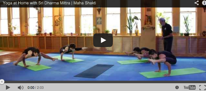 Dharma Mittra Yoga online dharma yoga