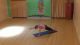 ParaYoga for Core & Digestive Energy