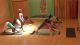 Strength, Stability, & Ease in Backbends
