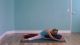 Yoga to Relieve Cold Symptoms