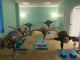Beginner Yoga with Shannon Smith | 7:00 AM CDT/8:00 AM EST